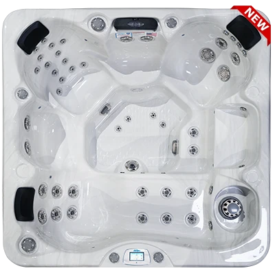 Avalon-X EC-849LX hot tubs for sale in Montpellier